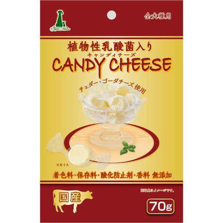 【同梱不可】【10個セット】ペティオ Add.Mateキャンディチーズ乳酸菌入り70g