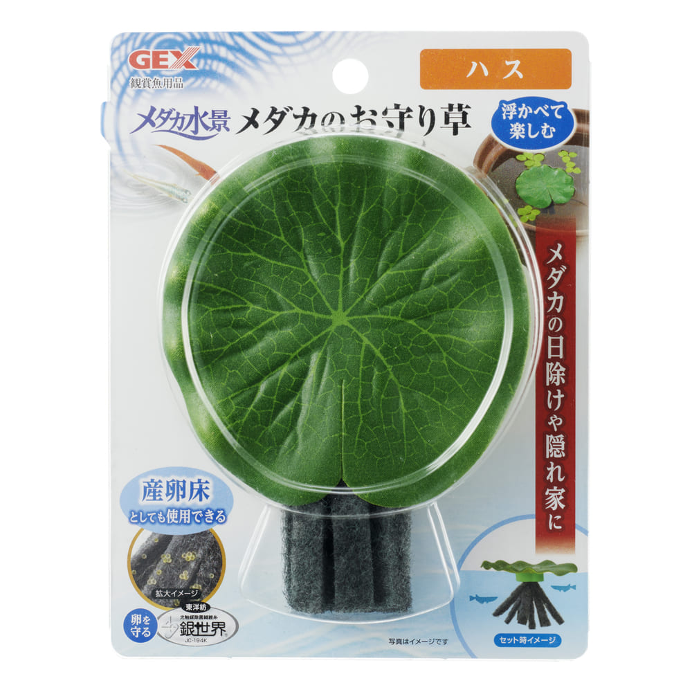 【同梱不可】【12個セット】ジェックスメダカ水景メダカのお守り草ハス
