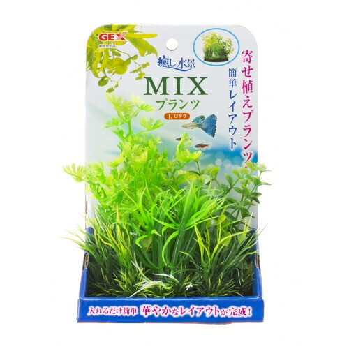 【同梱不可】【12個書き割り】ジェックス癒し水景MIXプランツLロ鱈