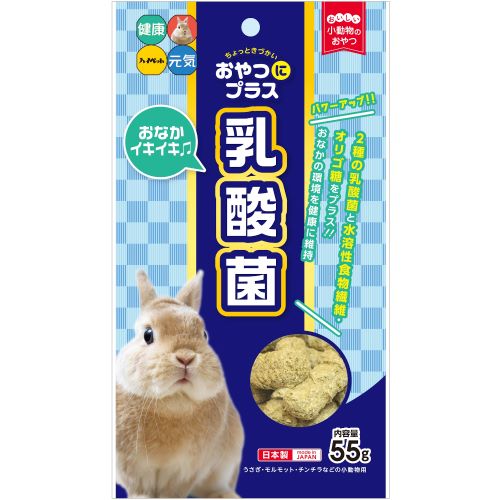 【同梱不可】【30個仕掛ける】お兄ちゃんにつけ加える乳酸菌55g