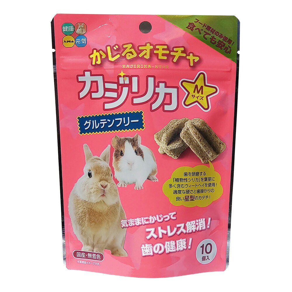 【同梱不可】【36個セット】ハイペット カジリカ スター Mサイズ 10個入