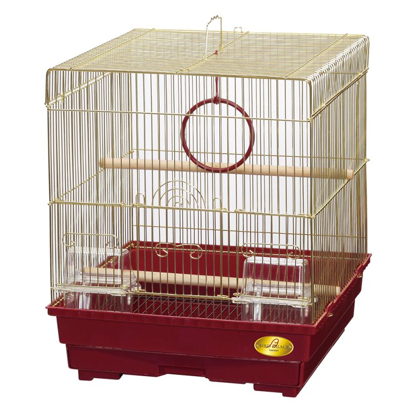 【同梱不可】【2個セット】マルカン バードパレスパーム　グリーンＬ