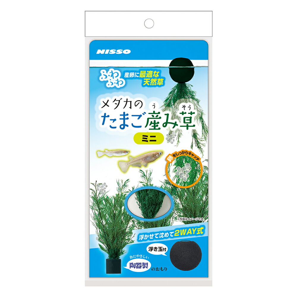 【同梱不可】 【24個書き割り】株式会社マルカン(ニッソー) メダカの滅多に無いご生み出すこと草ミニ