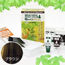 【3点仕かける】マル頭を覆う物 ロイヤル 色合いEX つけ加える 赤銅色 4仕かける入り口・入口 飲み薬部外品 男女共用白髪染め 決まり品 美容・コスメ・香水-ヘアケア・スタイリング-白髪染め