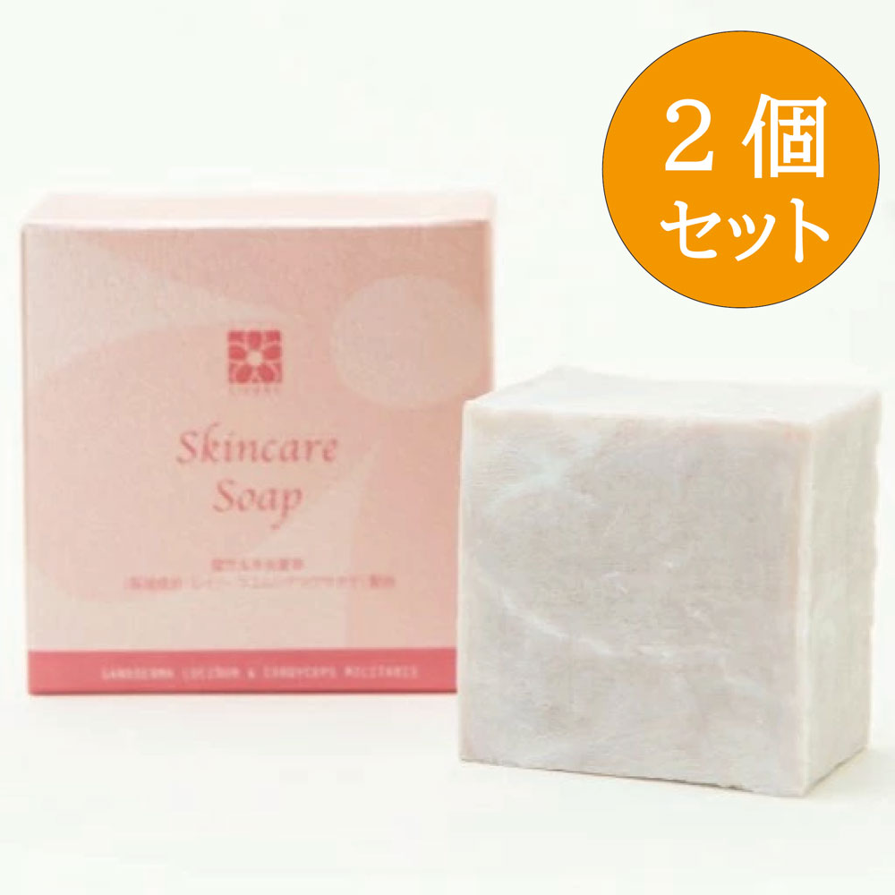 【2個セット】霊芝 冬虫夏草 スキンケアソープ 80g×2個 角栓 毛穴 角質 泡 毛穴ケア 弱アルカリ性 洗顔 固形石鹸 洗顔石鹸 洗顔料 ボディーソープ 無添加 無香料 温泉水 美容 薬固形石けん 洗顔石けん 株式会社ライフリー 正規品【送料無料/沖縄・離島除く】