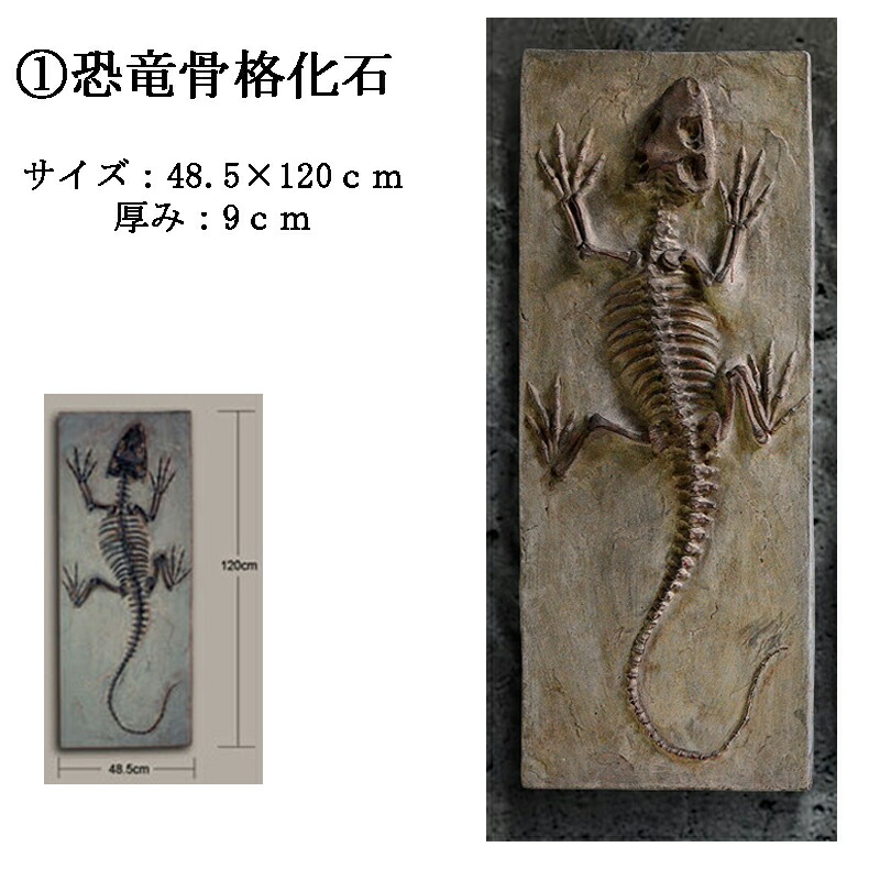 楽天市場 予約販売 関東限定送料無料 壁掛け 豪華9点セット 恐竜骨格フィギュア 植物化石 貝化石 Chic Robot Japan