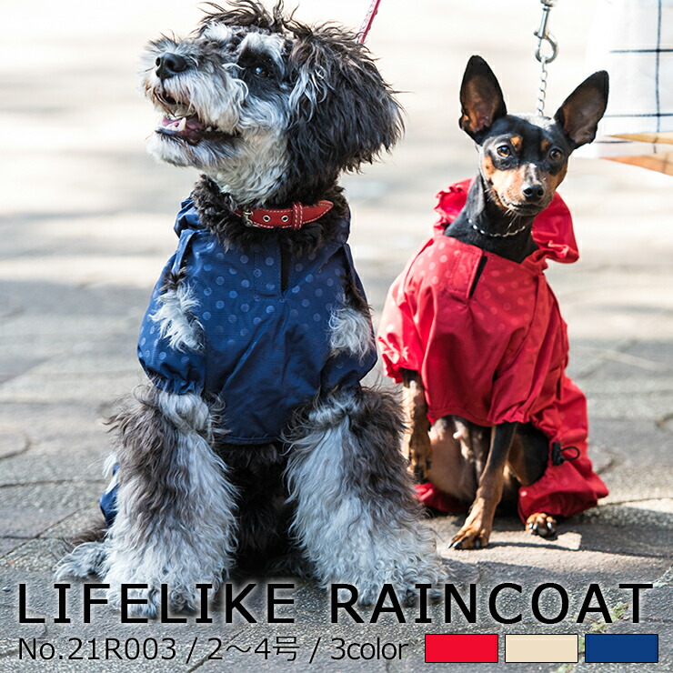 楽天市場 Lifelike 犬 猫 レインコート カッパ 小型犬 中型犬 サイズ 春夏 春 夏用 夏 秋冬 冬用 秋 冬 服 半袖 ドットフルカバーレインコート 2 4号 ダックス チワワ プードル 雨具 レインウェア 犬服 犬の服 犬の洋服梅雨 雨 雪 ライフライク楽天市場店