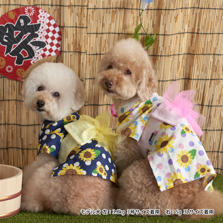 楽天市場 浴衣 夏 和柄 半袖 小型犬 中型犬 Lifelike お祭り 夏用 服 ヒマワリ浴衣 1 5号 2l 3l ダックス チワワ 和装 和柄 犬服 犬の服 防蚊加工 祭 夏祭 イベント ライフライク楽天市場店