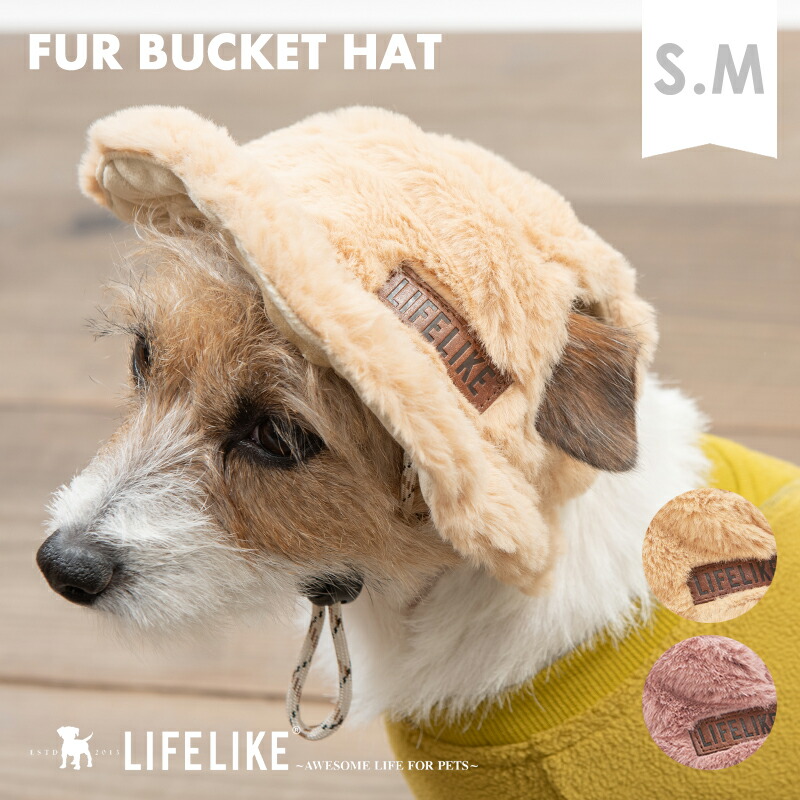 おもちゃプレゼント 天ぷら型 猫 ペット クリスマス 秋冬 大人気 被り物 ハロウィン 猫被り物 ペット帽子 犬 ふわふわ帽子 犬猫用コスプレ