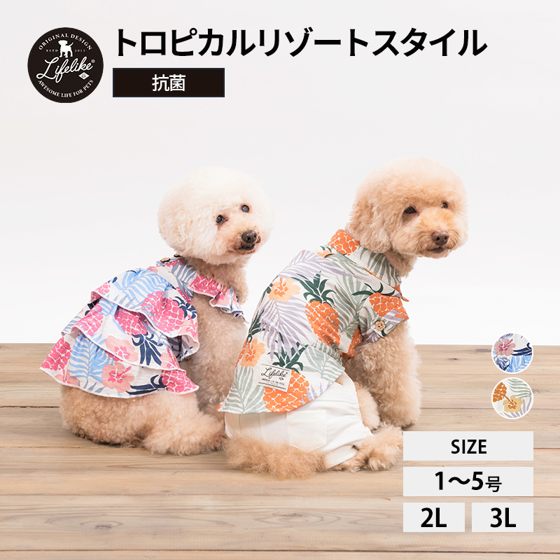 楽天市場 マルチボーダーフリル ペット服 ドッグウェア 小型犬 中型犬 ペット 洋服 ペット用品 犬 グッズ 春夏 春服 夏服 春用 夏用 春夏用 お 散歩 お出かけ おしゃれ かわいい 抜け毛防止 ライフライク楽天市場店