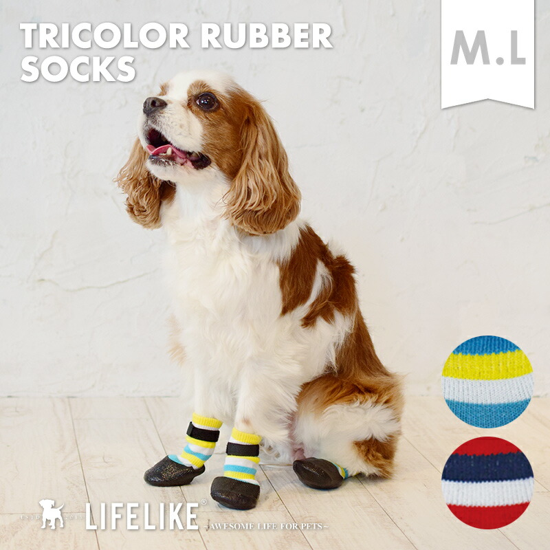 マラソン期間限定p10倍 犬 靴下 ソックス 中型犬 Lifelike 春夏 春 夏用 夏 M L 犬用 滑り止め 肉球 保護 怪我 ケガ 介護用 散歩用 災害時 ドライブ お出かけ 安全 デザイン 老犬 ペット服 返品不可 サイズ交換可 激安特価