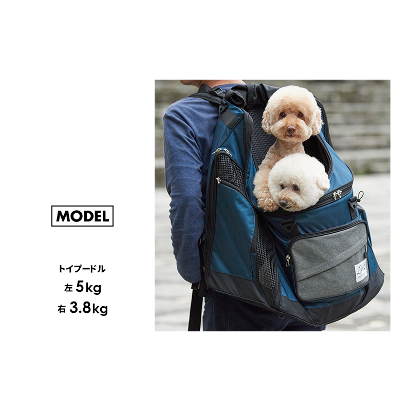 CITYDOG バックパックキャリー Sサイズの+inforsante.fr