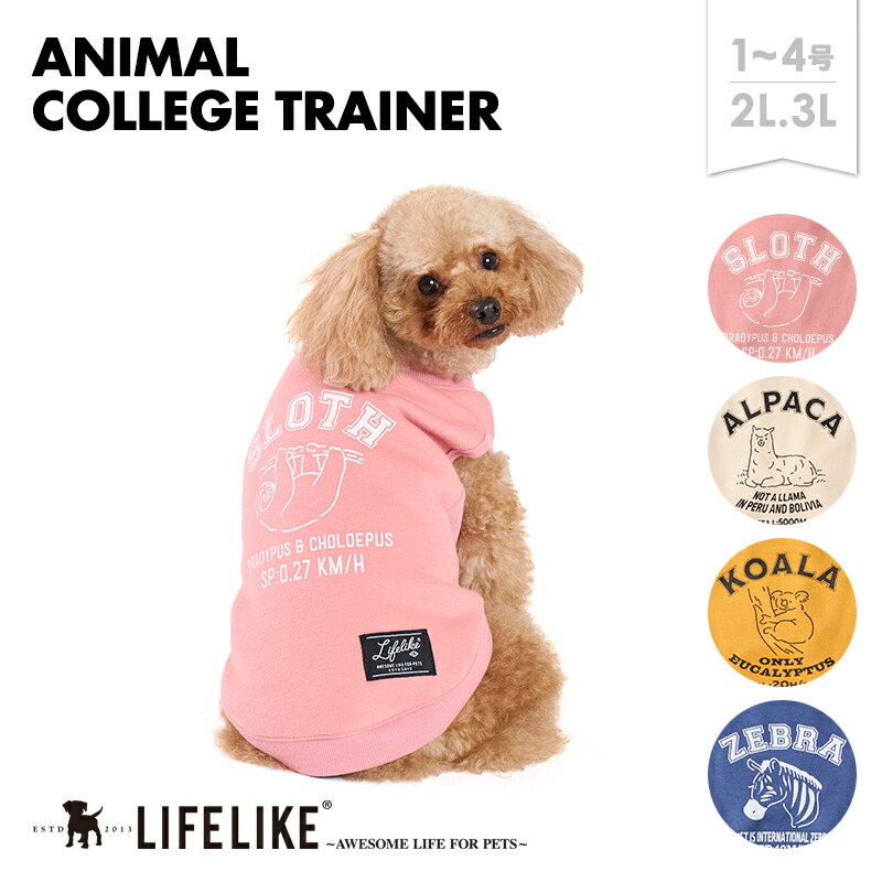 犬の服 トレーナー生地