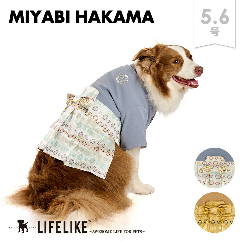 かあさま＊ハンドメイド犬服＊ 楽天市場】【雅袴5-6号】犬 服 袴 着物 七五三 お正月 結婚式 イベント