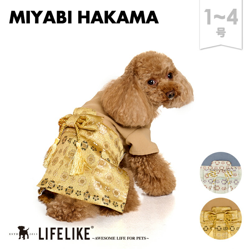 楽天市場】【雅袴1-4号】犬 服 袴 着物 七五三 お正月 結婚式 イベント