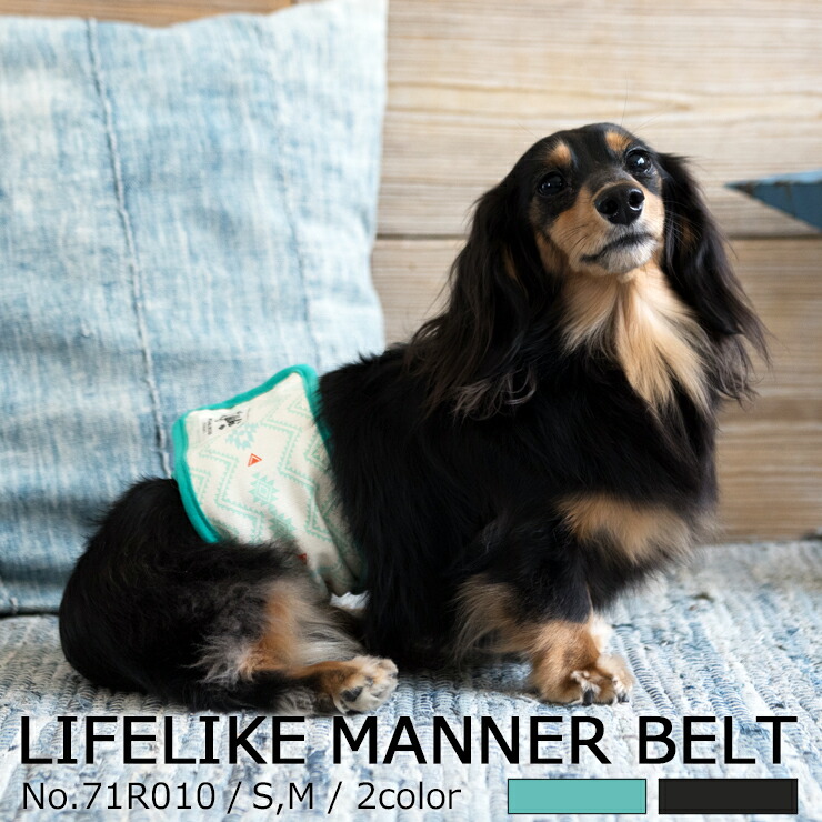 楽天市場 ネイティブマナーベルト S M Lifelike 犬 マナーバンド 小型犬 中型犬 大型犬 サイズ ダックス チワワ プードル 男の子用 オス マーキング防止マナーグッズ お出かけ 宿泊 旅行 返品不可 サイズ交換可 ライフライク楽天市場店
