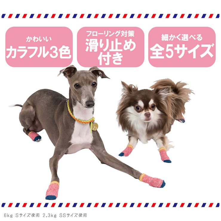 楽天市場 犬 靴下 ソックス 小型犬 中型犬 Lifelike カラフルソックス Ss S 春夏 春 夏用 夏 秋冬 冬用 秋 冬 ダックス チワワ プードル 犬用 滑り止め 肉球 保護 怪我 ケガ 介護用 散歩用 災害時 ライフライク楽天市場店