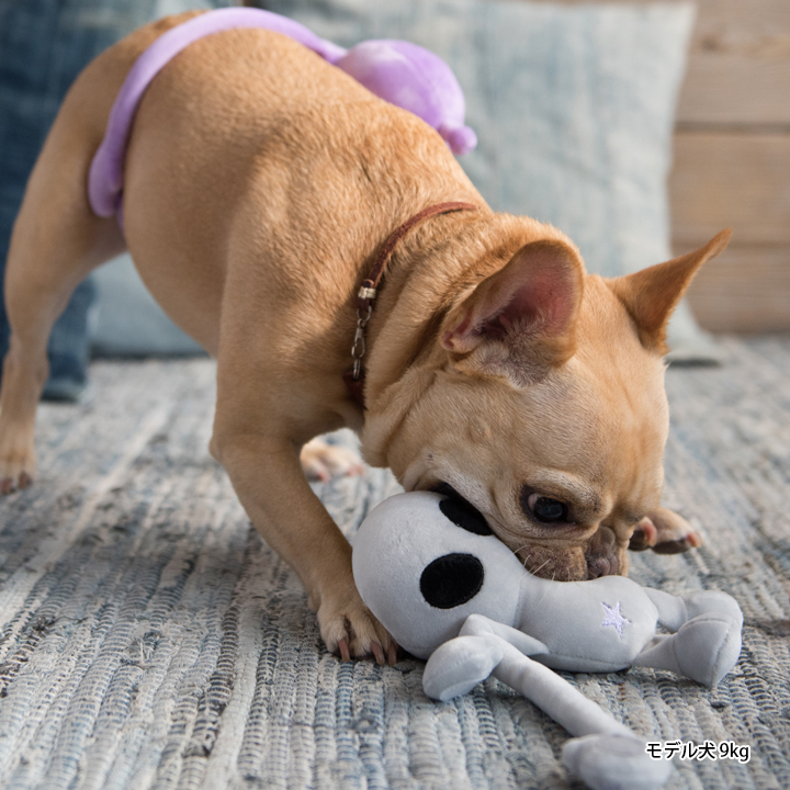 楽天市場 犬 おもちゃ ぬいぐるみ 玩具 音が鳴る 噛む 中型犬 大型犬 Lifelike エイリアン ダックス チワワ プードル 宇宙 スペース ライフライク楽天市場店