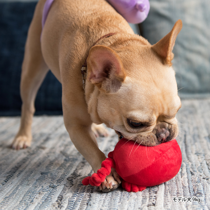 楽天市場 犬 おもちゃ ぬいぐるみ 玩具 音が鳴る 噛む 中型犬 大型犬 Lifelike 火星人 ダックス チワワ プードル 宇宙 スペース ライフライク楽天市場店