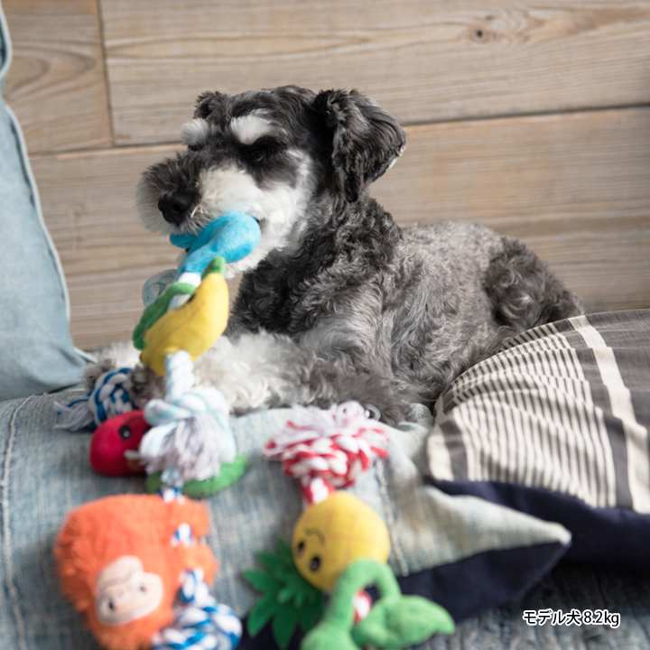 楽天市場 犬 おもちゃ 音が鳴る ぬいぐるみ 玩具 噛む 小型犬 中型犬 大型犬 Lifelike 木登りアニマル ダックス チワワ プードル 動物 アニマル ライフライク楽天市場店