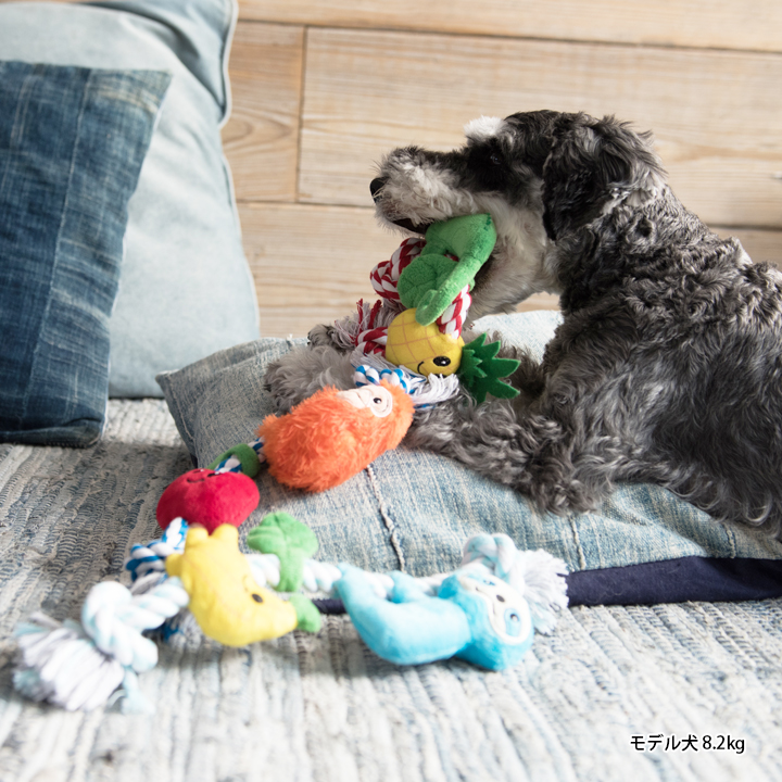 楽天市場 犬 おもちゃ 音が鳴る ぬいぐるみ 玩具 噛む 小型犬 中型犬 大型犬 Lifelike 木登りアニマル ダックス チワワ プードル 動物 アニマル ライフライク楽天市場店