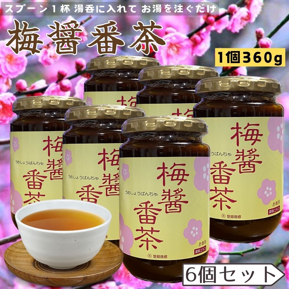 【６個セット】 梅醤番茶 生姜 番茶 醤油 お茶 南高梅 紀州梅 梅 エキス アイリス 梅しょう番茶 360g×6 賞味期限2027/01