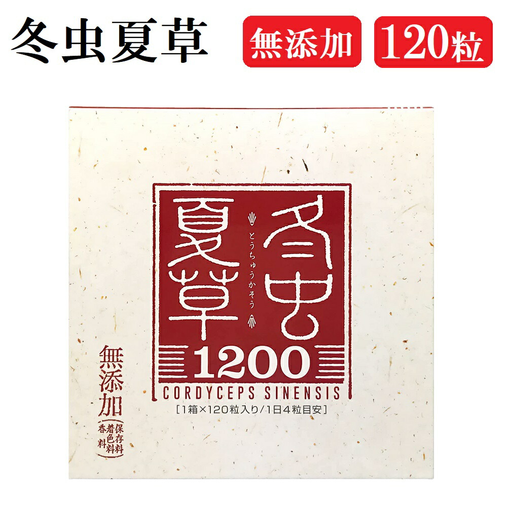 楽天市場】白豆杉エキス粒 6粒 x 90包入 はくとうすぎ 世界最古