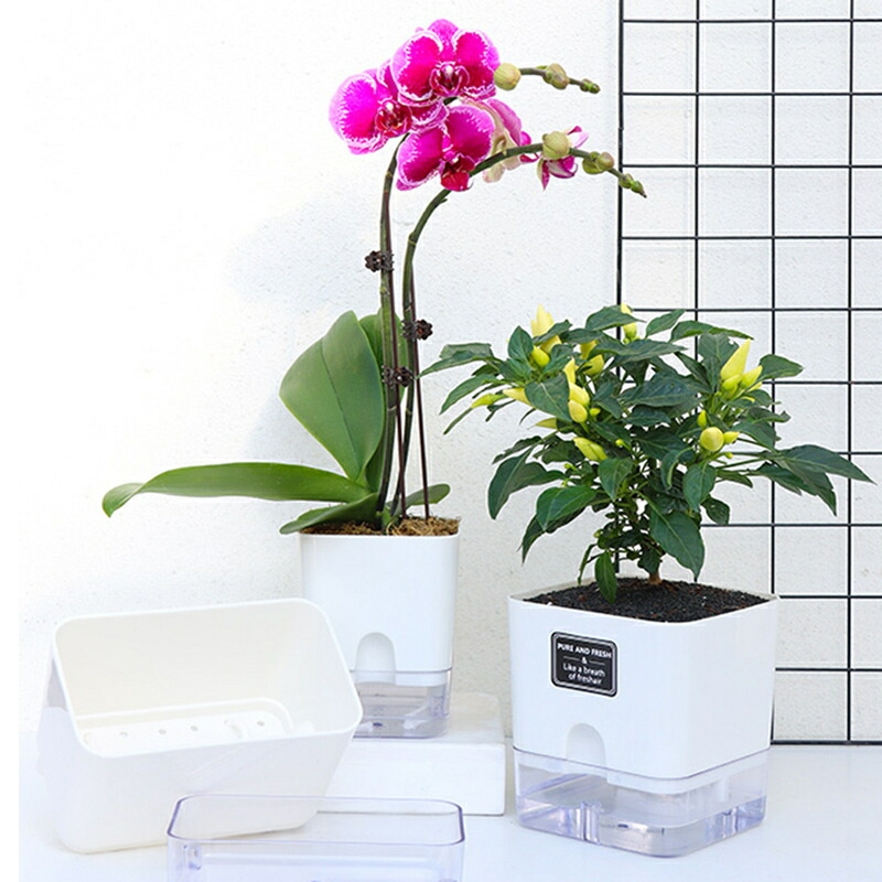 卓上 サイズ 底面給水 プランター おしゃれ プランター 鉢 ポット 水槽 観葉植物 多肉植物 胡蝶蘭 サボテン シクラメン 初心者 玄関  寄せ植え 室内園芸 園芸 ガーデニング インテリア 室内 自動給水 植木鉢 洋風 家具 新築 新居 引っ越し 挨拶 粗品 プレゼント