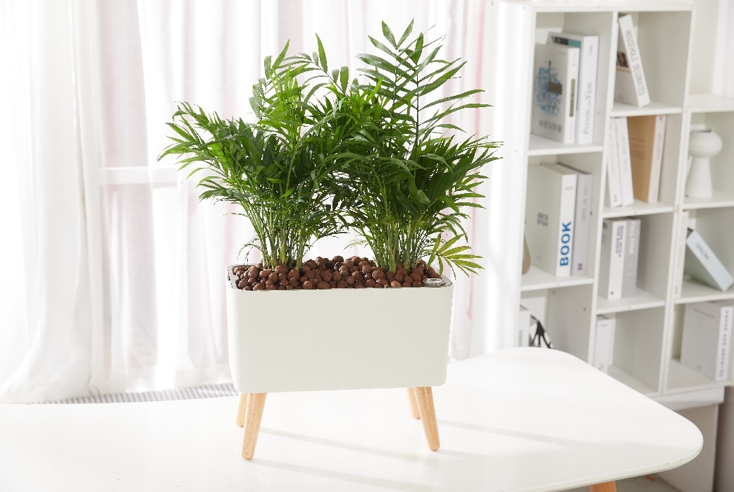 卓上 サイズ 底面給水 プランター おしゃれ プランター 鉢 ポット 水槽 観葉植物 多肉植物 胡蝶蘭 サボテン シクラメン 初心者 玄関  寄せ植え 室内園芸 園芸 ガーデニング インテリア 室内 自動給水 植木鉢 洋風 家具 新築 新居 引っ越し 挨拶 粗品 プレゼント