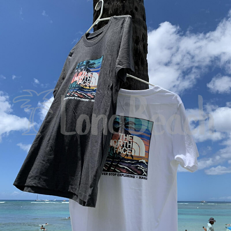 Patagonia パタゴニア　30周年記念　Tシャツ　HAWAII ハレイワ Patagonia パタゴニア 30周年記念 Tシャツ HAWAII ハレイワ