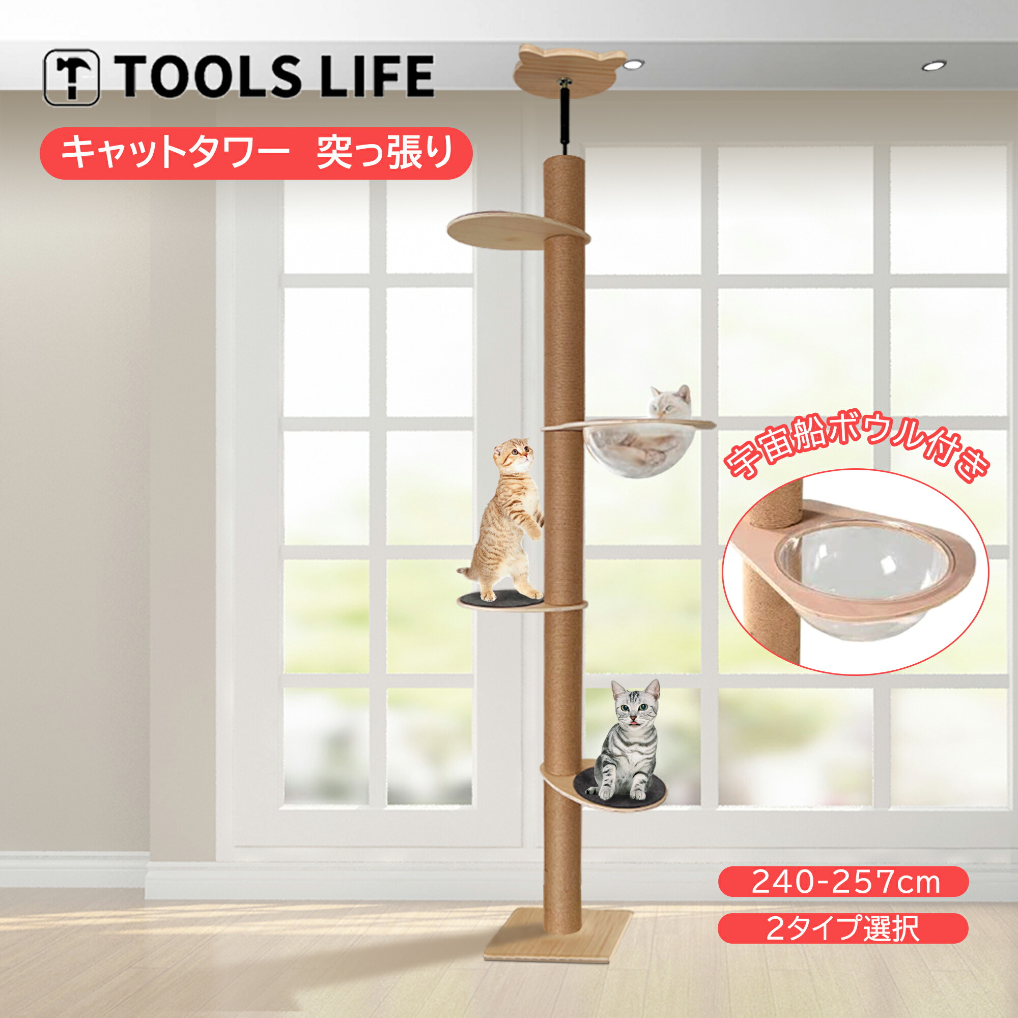 最安 TOOLS LIFE キャットタワー 突っ張り 極太12CMキャットタワー 透明な宇宙船付き 高さ240-257cm対応 猫タワー 猫ツリー  省スペース 安定性抜群 天然サイザル麻紐 天然素材 組立簡単 多頭飼い sasrougepassion.fr