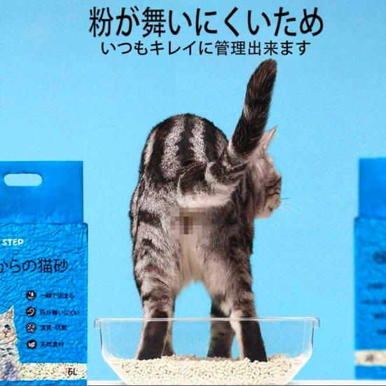 おからの猫砂 6袋セット 天然素材トイレに流せる 猫砂 ねこ砂 ネコ砂 消臭 抗菌 猫砂 6袋セット Rvcconst Com