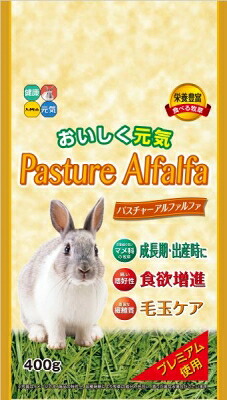 【同梱不可】【12個セット】パスチャー アルファルファ 400g