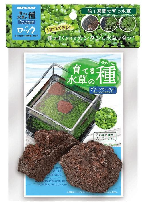 【同梱不可】【12個セット】株式会社マルカン（ニッソー）育てる水草の種グリーンカーペット＆ロック