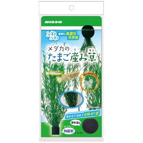 【同梱不可】 【24個書き割り】株式会社マルカン(ニッソー) メダカの滅多に無いご生み出すこと草