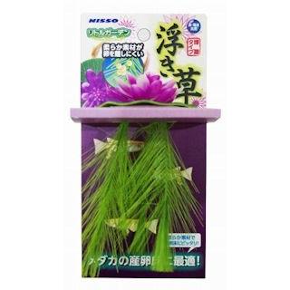 【同梱不可】【36個セット】マルカン ＮＡＰ‐５２０　リトルガーデン浮き草（ピンク）