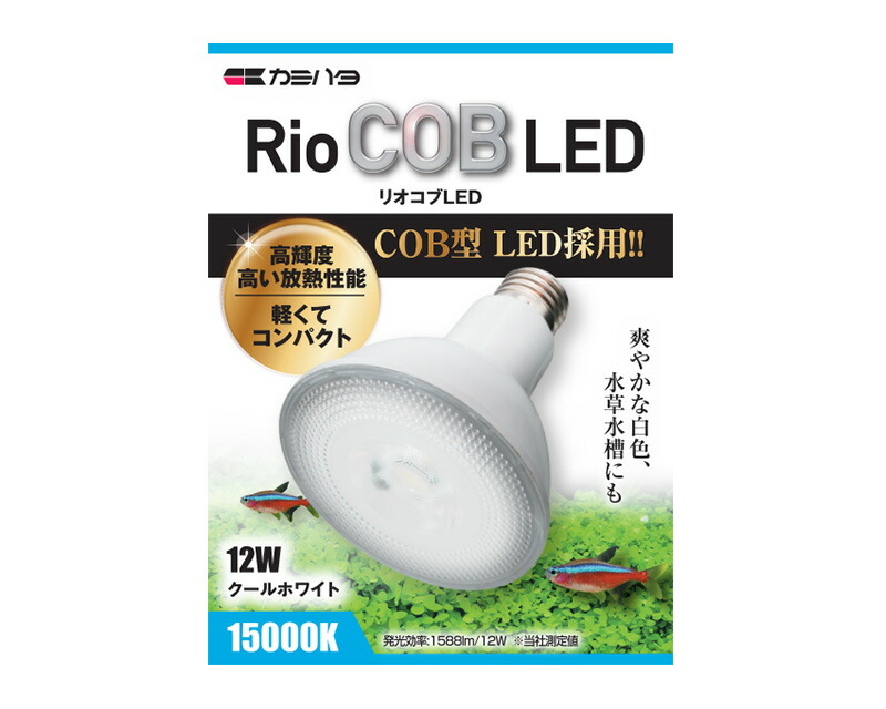 【同梱不可】【2個セット】神畑養魚株式会社用品 ＲｉｏＣＯＢ　ＬＥＤ　クールホワイト　１２Ｗ