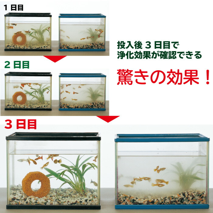 楽天市場 バイオミニブロック 水質 管理 水交換 水槽 海水 淡水 両用 アクアリウム 熱帯魚 バイオ ミニ ブロック 送料無料 Life Allsome ライフオーサム