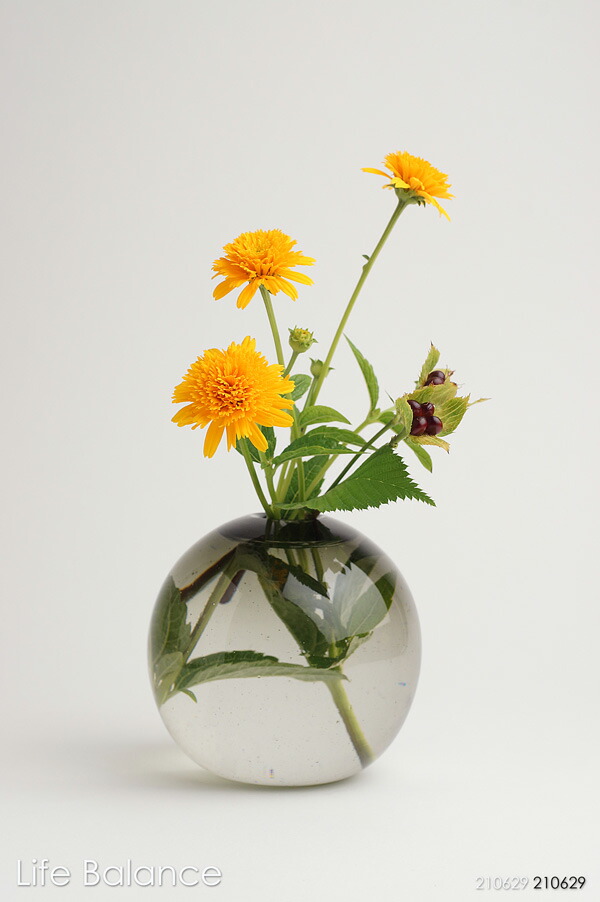 楽天市場 吹きガラス工房 Fuji321 水玉 花瓶 M 花入れ 花器 Life Balance ライフバランス