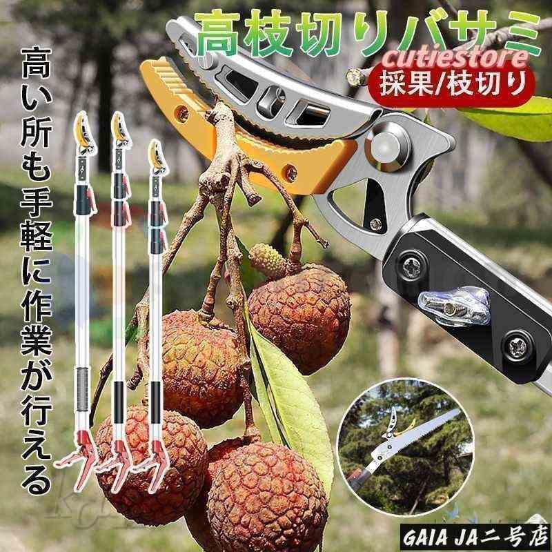 高枝切りバサミ 3m 4m 5m 伸縮式高枝切鋏 鋸付き添い人 伸縮式 切り下げる鋏 高枝鋏 高枝用 SK5 高さ 園芸用剪刀 太枝切鋏 枝切り 枝分け 高枝切り