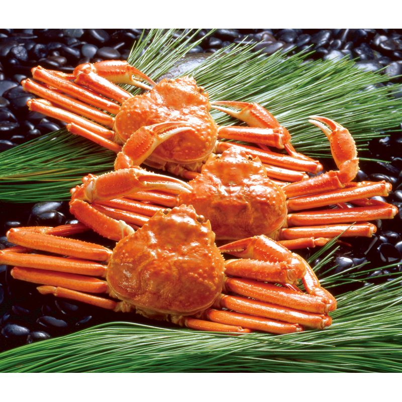 【送料無料】【直送品】■ボイルずわいがに姿 450g×3尾 ZHB453N ■ ［おすすめ 美味しい プリプリ ボイル 蟹 かに ずわいがに ズワイガニ ずわい蟹 ズワイ蟹 姿 脚 蟹みそ 詰合せ お中元 お歳暮 贈り物 御礼 ギフト セット プレゼント］