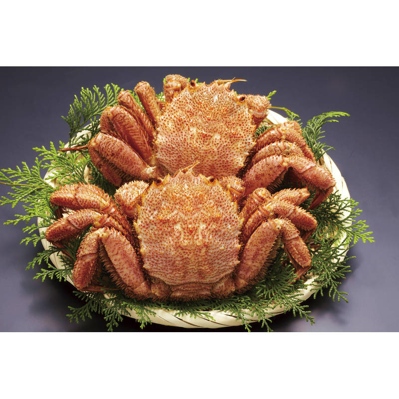 【送料無料】【直送品】北海道産ボイル毛がに320g×2尾 320*2 ［美味しい おすすめ 北海道産 毛ガニ ボイル 国産 詰合せ おすすめ 贈り物 御礼 御祝い記念品 ギフトセット ノベルティ お中元 お歳暮 プレゼント］