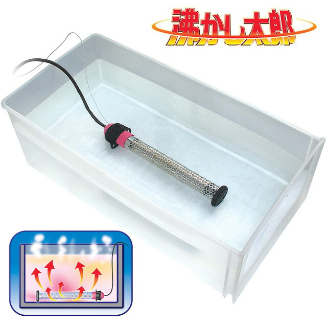 今日このごろから始める「蒸し活」のススメ