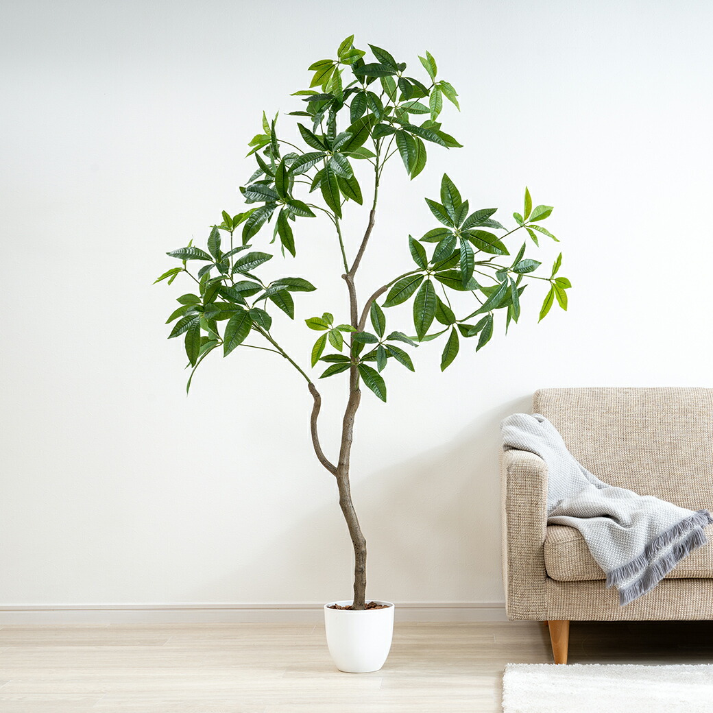 光触媒インテリアグリーン パキラ 人工観葉植物 光触媒 フェイクグリーン 観葉植物 フェイク 大型