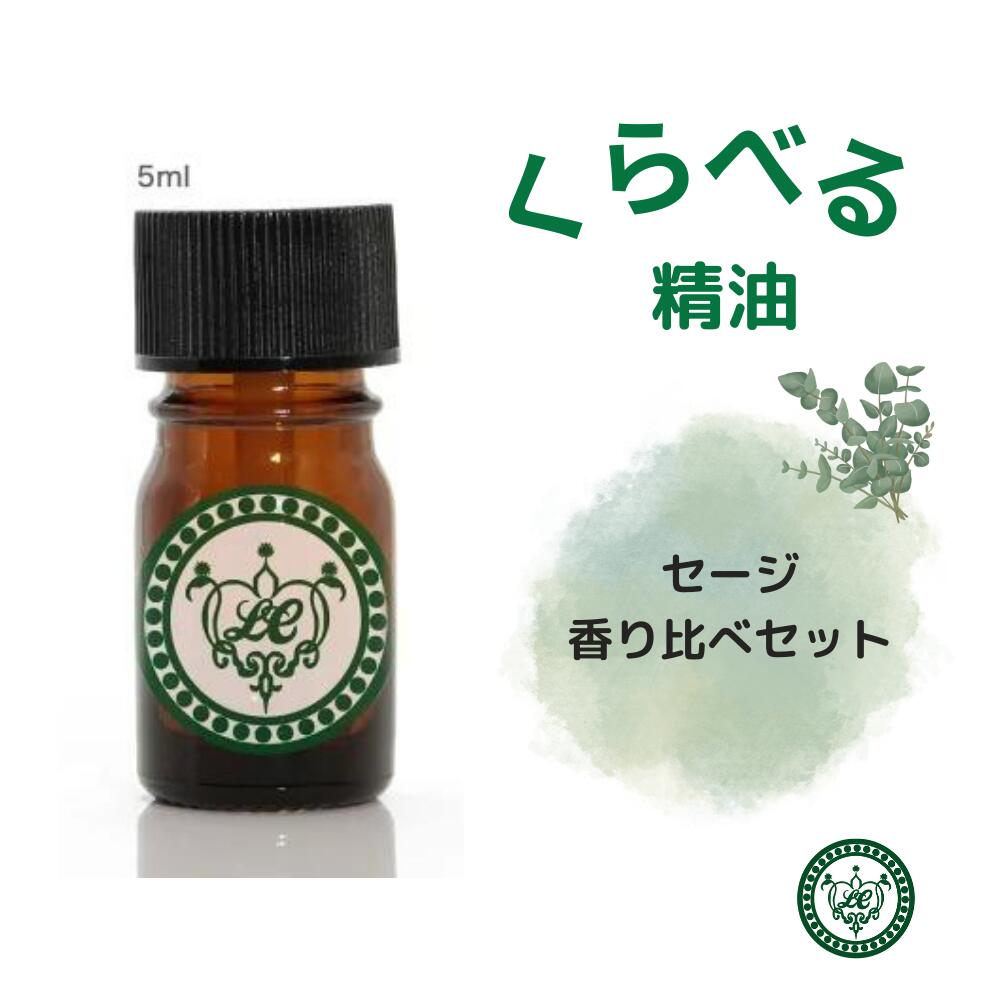 kuraberu-sage1.jpg