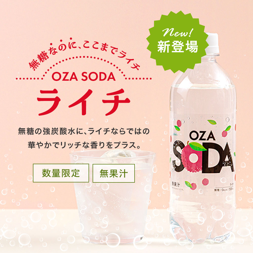炭酸水の最安値に挑戦中！】炭酸水 500ml 48本 (24本×2ケース) 送料