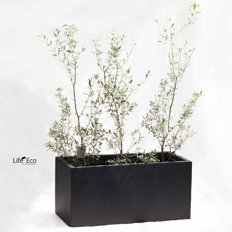 SALENEW大人気! 植木鉢 大型 軽量 エイリアス プランター ブラック 黒 L79cm×W37.5cm×H40cm 26号 fucoa.cl