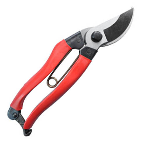 楽天市場】三木章 最高級桐箱入り剪定鋏（手打鍛造品） K-850