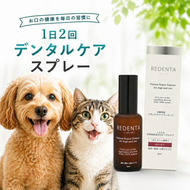 【店内全品客体】買うほどお得｜まとめ買い引き換え証