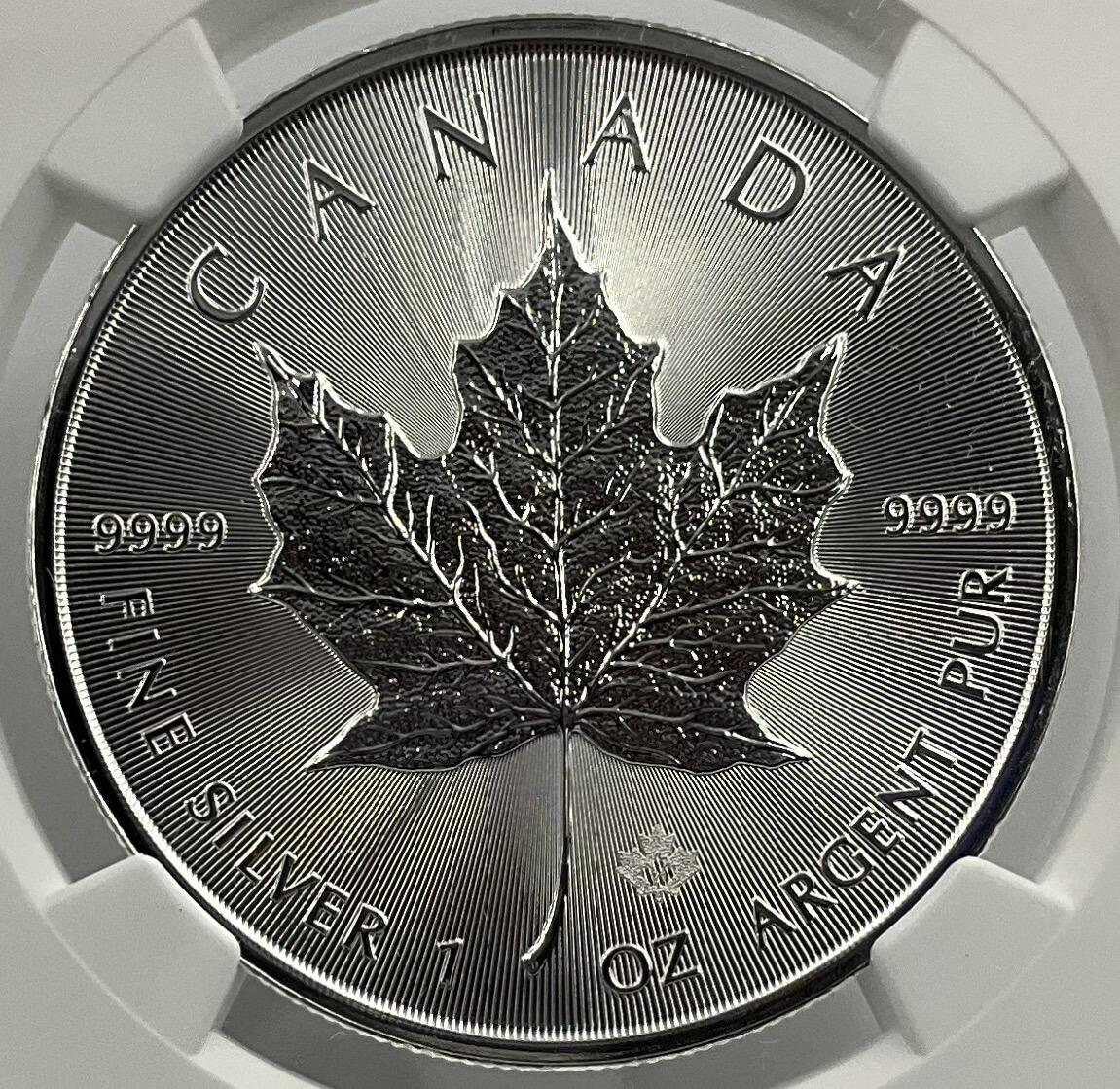 楽天市場】2026年 カナダ メイプルリーフ 1/2oz 4ドル 銀貨 エリザベス